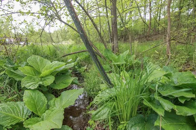 00-Lot 128 Ledgewood, Fenton, MI 48430 - Image #2