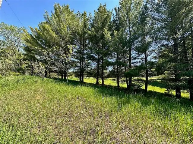 Lot 8 Schoolcraft, Bellaire, MI 49615 - Image #2