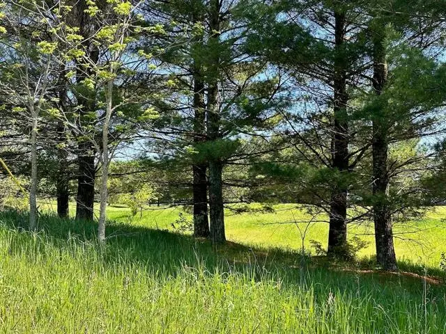 Lot 8 Schoolcraft, Bellaire, MI 49615 - Image #3