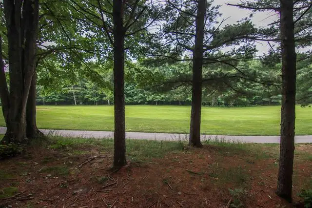 0000-Unit 39 Trailside, Thompsonville, MI 49683 - #1