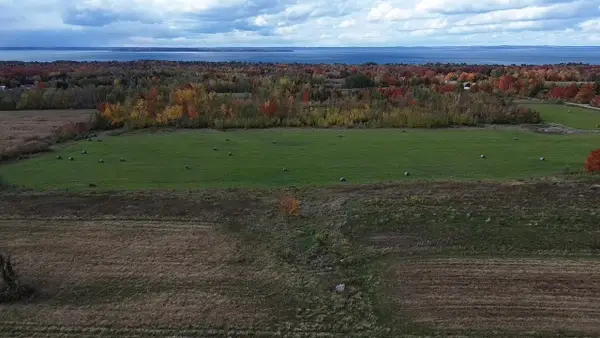 13295 Coleman RD, Kewadin, MI 49648