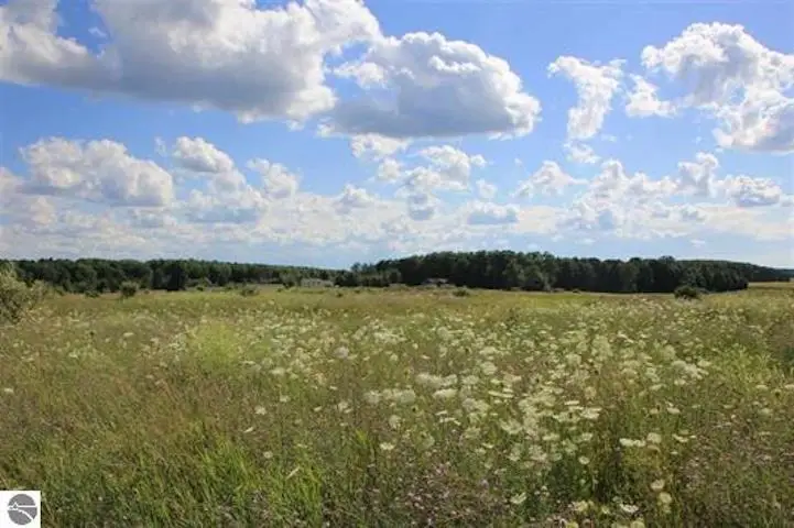 9110 Center Place DR, Kingsley, MI 49649 - Image #3