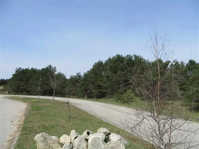 1 Spruce Hollow, Springfield, MI 49633 - Image #2