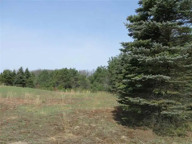 3 Spruce Hollow, Springfield, MI 49633 - Image #2