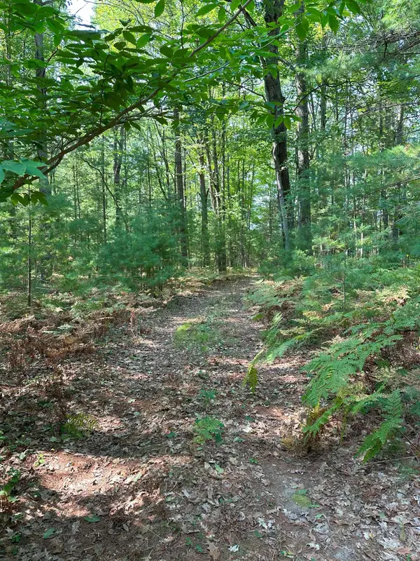 592 SE Blue Heron DR, Kalkaska, MI 49646