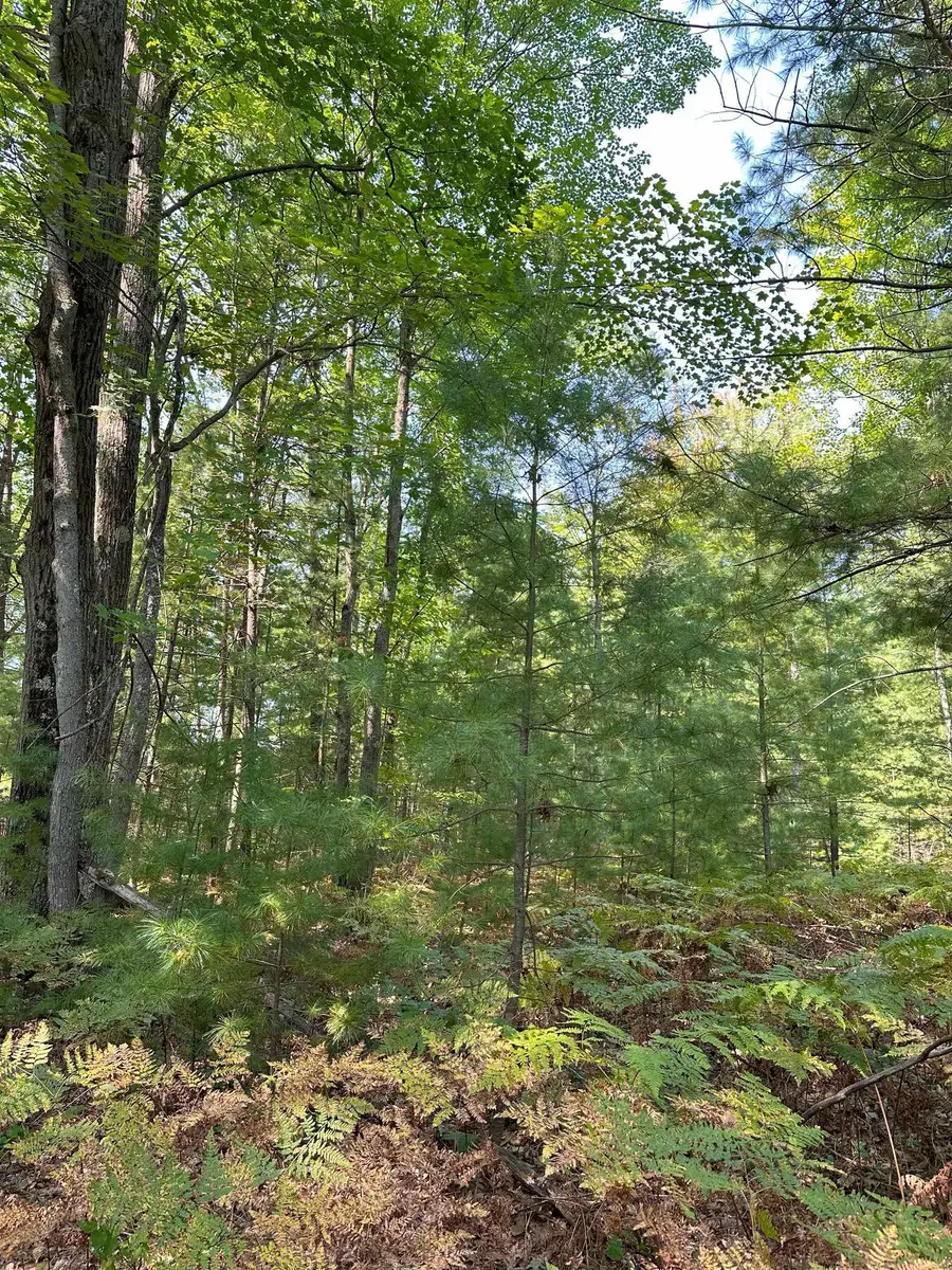 592 SE Blue Heron DR, Kalkaska, MI 49646 - Image #3