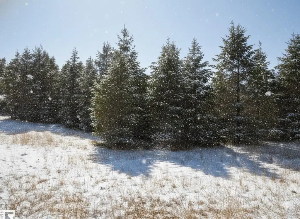 10.01 N 2 1/2 RD, Buckley, MI 49620 - Image #1