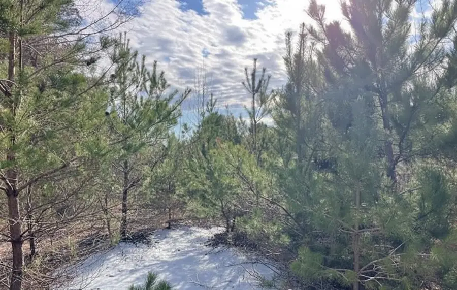 10.01 N 2 1/2 RD, Buckley, MI 49620 - Image #2