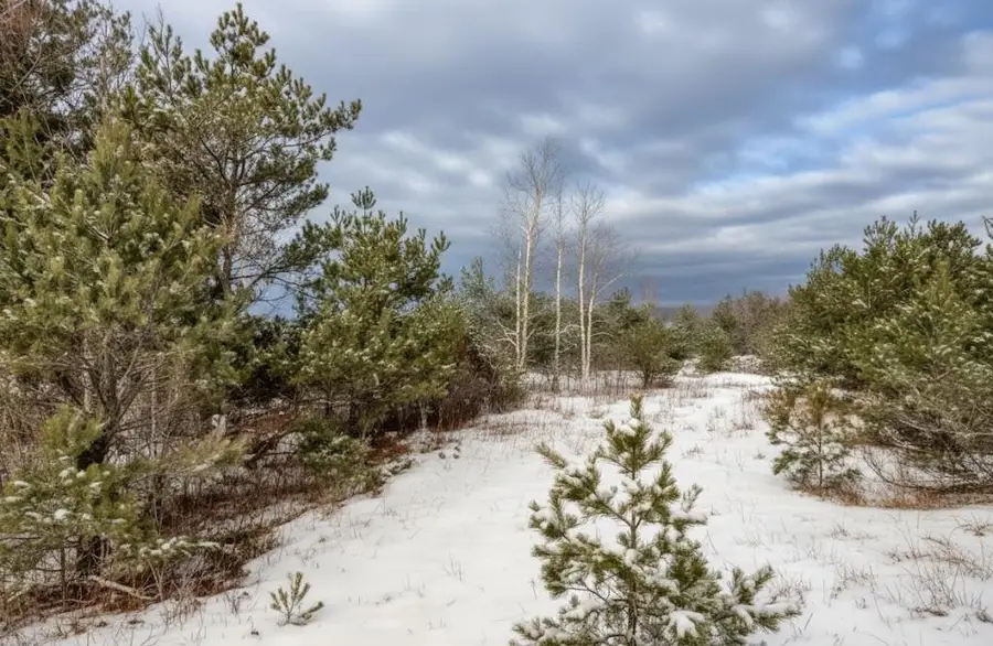 10.01 N 2 1/2 RD, Buckley, MI 49620 - Image #3