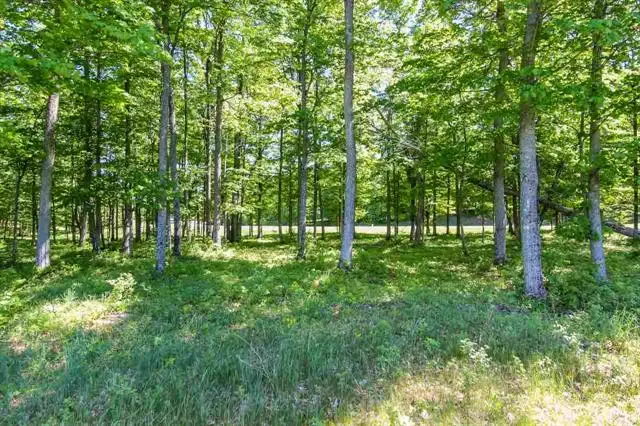 003 Heather Ridge, Beulah, MI 49617 - Image #3