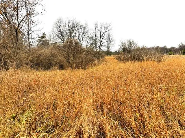 Unit 5 North, Thompsonville, MI 49683 - Image #2