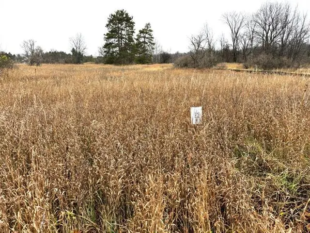 Unit 8 North, Thompsonville, MI 49683 - Image #2