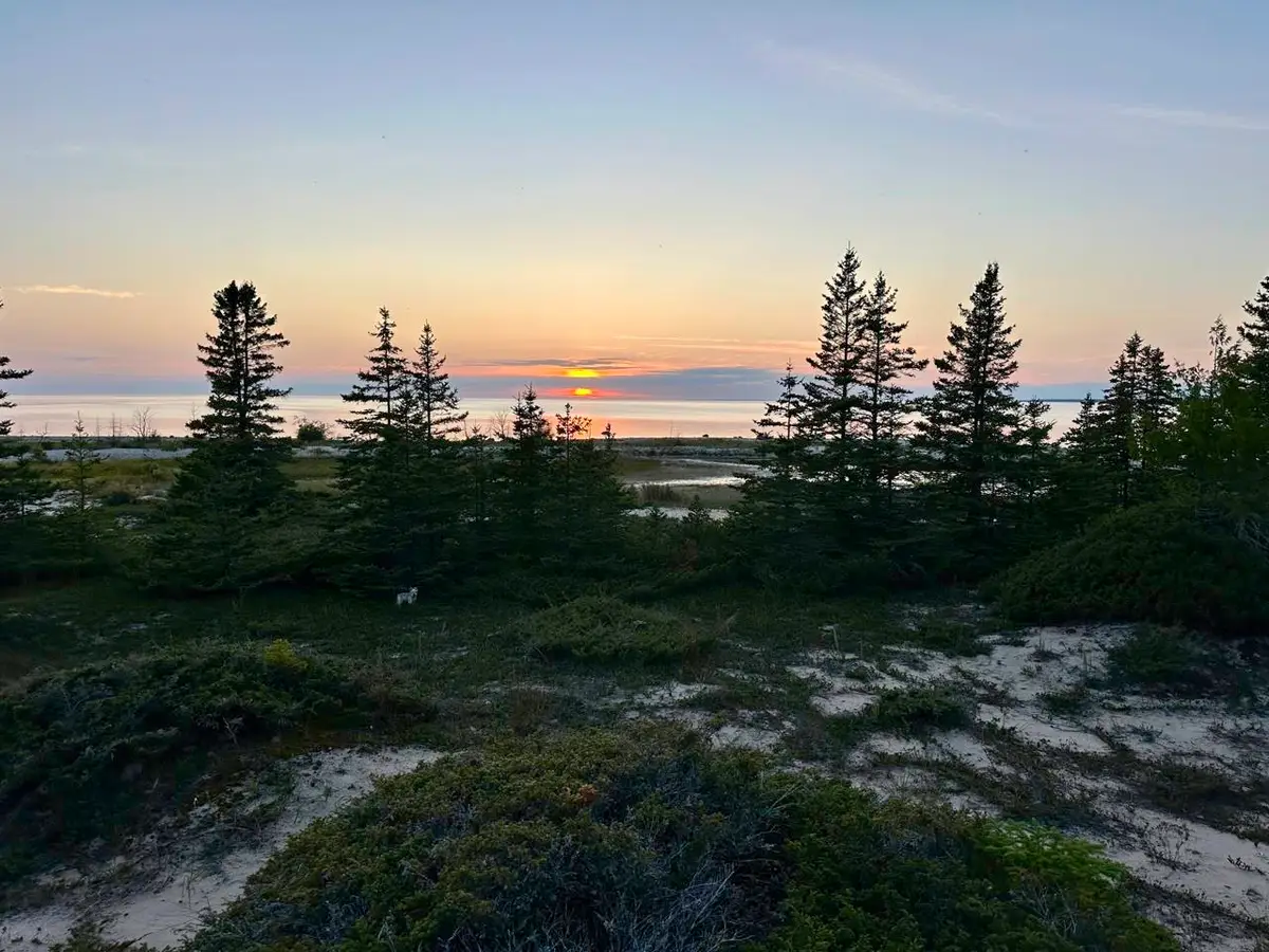 TBD Mrs Reddings, Beaver Island, MI 49782 - Image #1