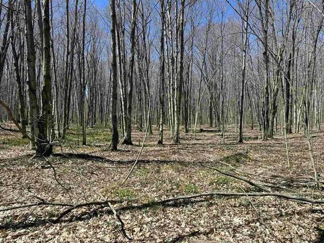 TBD Beaver Island, Saint James, MI 49782 - Image #3