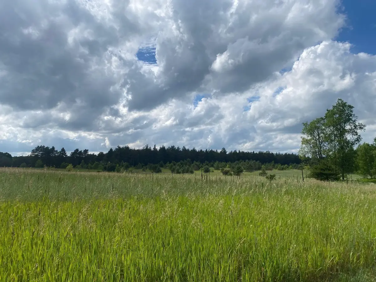 E 40 RD, Cadillac, MI 49601 - Image #1