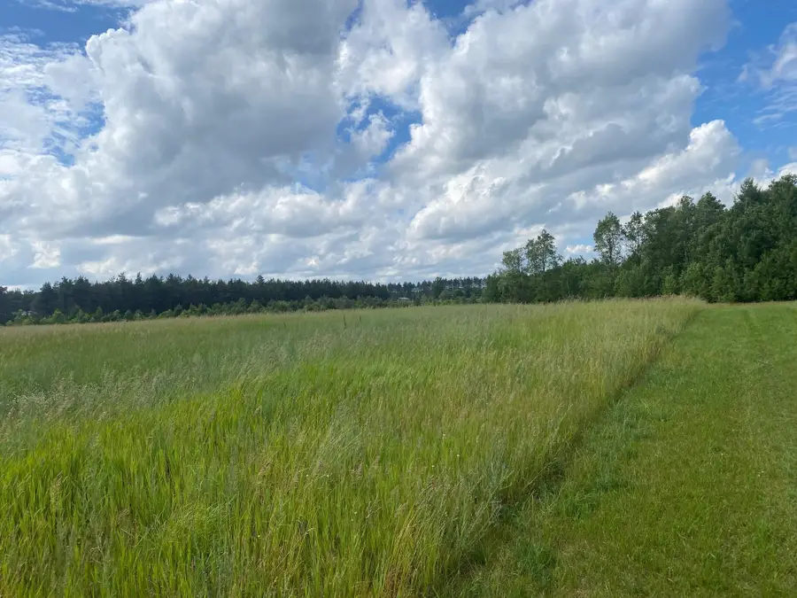 E 40 RD, Cadillac, MI 49601 - Image #3