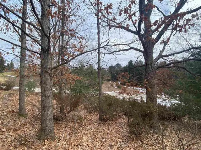Lot 38 Kirkridge DR, Williamsburg, MI 49690 - Image #1