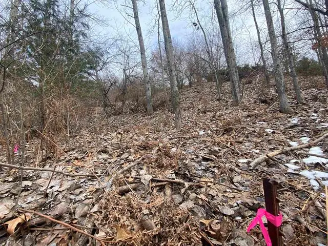 Lot 38 Kirkridge DR, Williamsburg, MI 49690 - Image #2