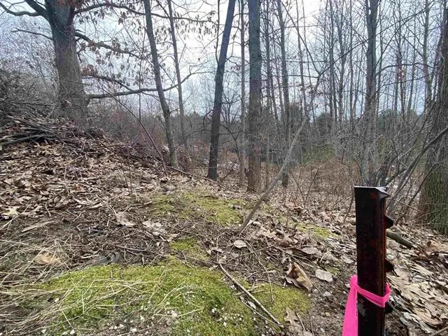 Lot 38 Kirkridge DR, Williamsburg, MI 49690 - Image #3