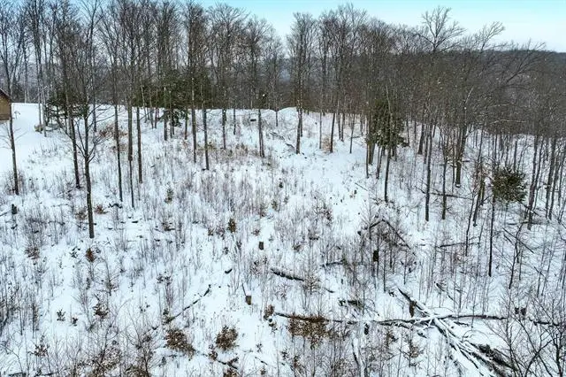 Lot 11 Connemara, Evangeline, MI 49712 - Image #1