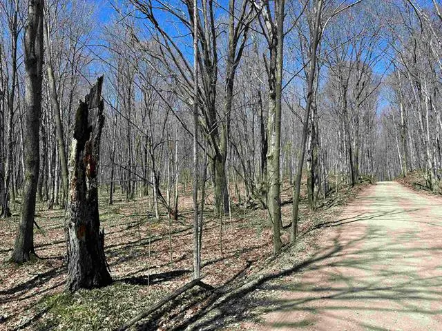 TBD West Side, Beaver Island, MI 49782 - Image #2