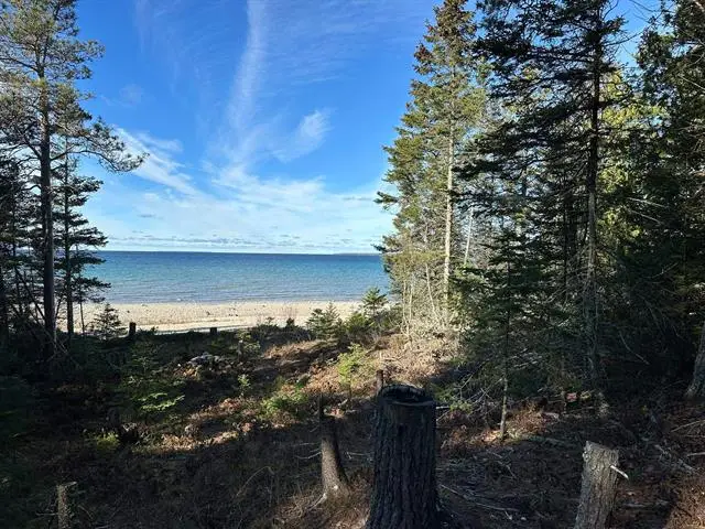 32010 Mrs Reddings, Beaver Island, MI 49782 - Image #1