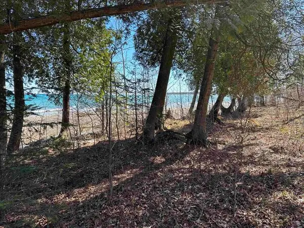 TBD Beaver Island, BeaverIsland, MI 49782