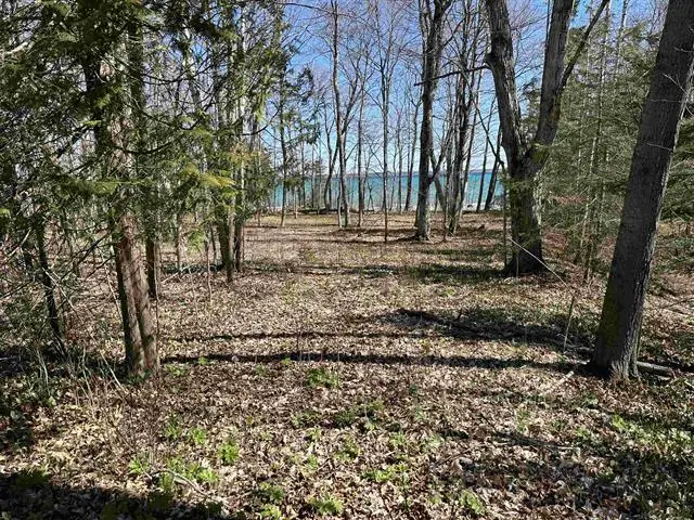 TBD Beaver Island, Saint James, MI 49782 - Image #2