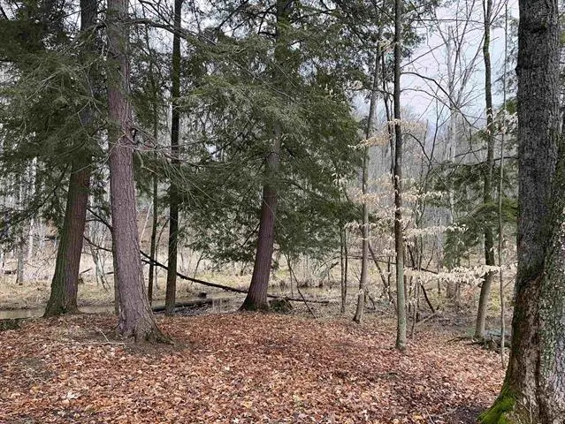 M-55, Wellston, MI 49689 - Image #2