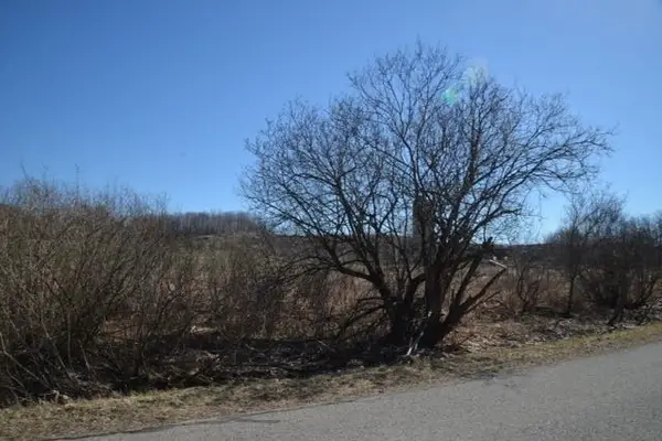 0 Wilson RD, EastJordan, MI 49727