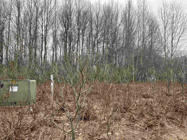 Lot 20 Crestview DR, Cadillac, MI 49601