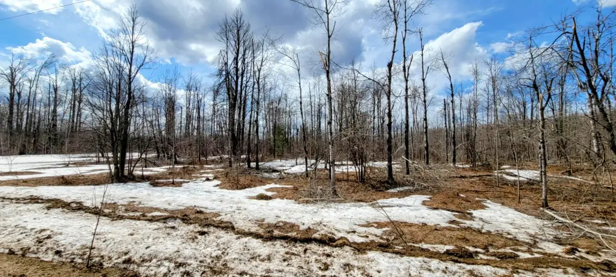 Shadyshore, Elmira, MI 49730 - #1