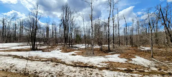 Shadyshore, Elmira, MI 49730