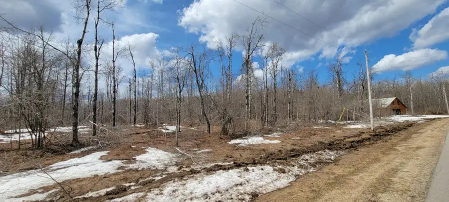 Shadyshore, Elmira, MI 49730 - #2