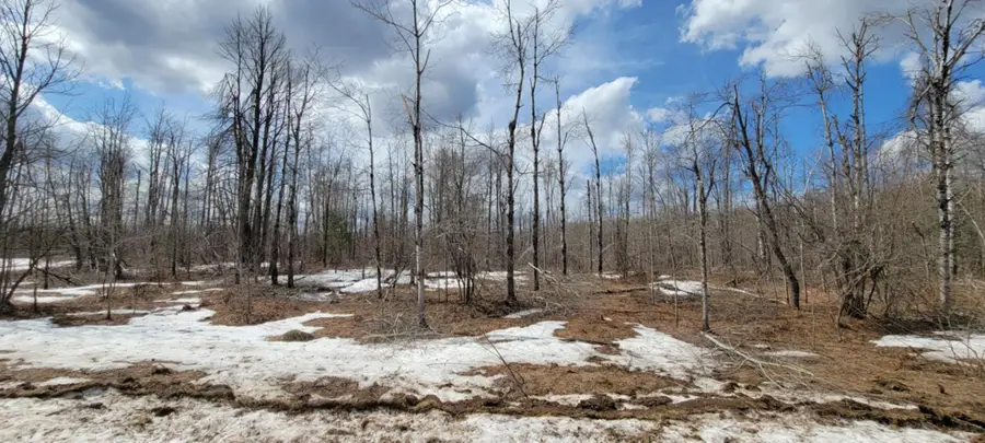 Shadyshore, Elmira, MI 49730 - #3