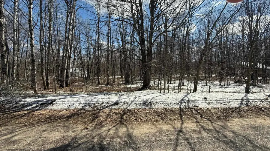 Lot 421 Northridge, Mancelona, MI 49659 - Image #3