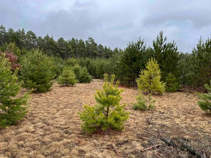 10299 Levi, Kingsley, MI 49649 - Image #2