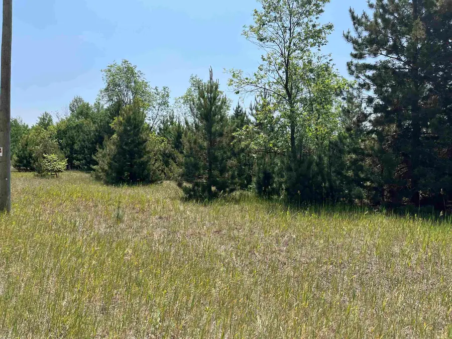 S Westwood, Mancelona, MI 49646 - Image #3