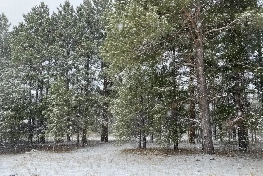 2760 Mockingbird DR, Traverse City, MI 49685 - Image #2