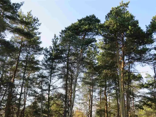 10.5 Spruce Hollow, FifeLake, MI 49633