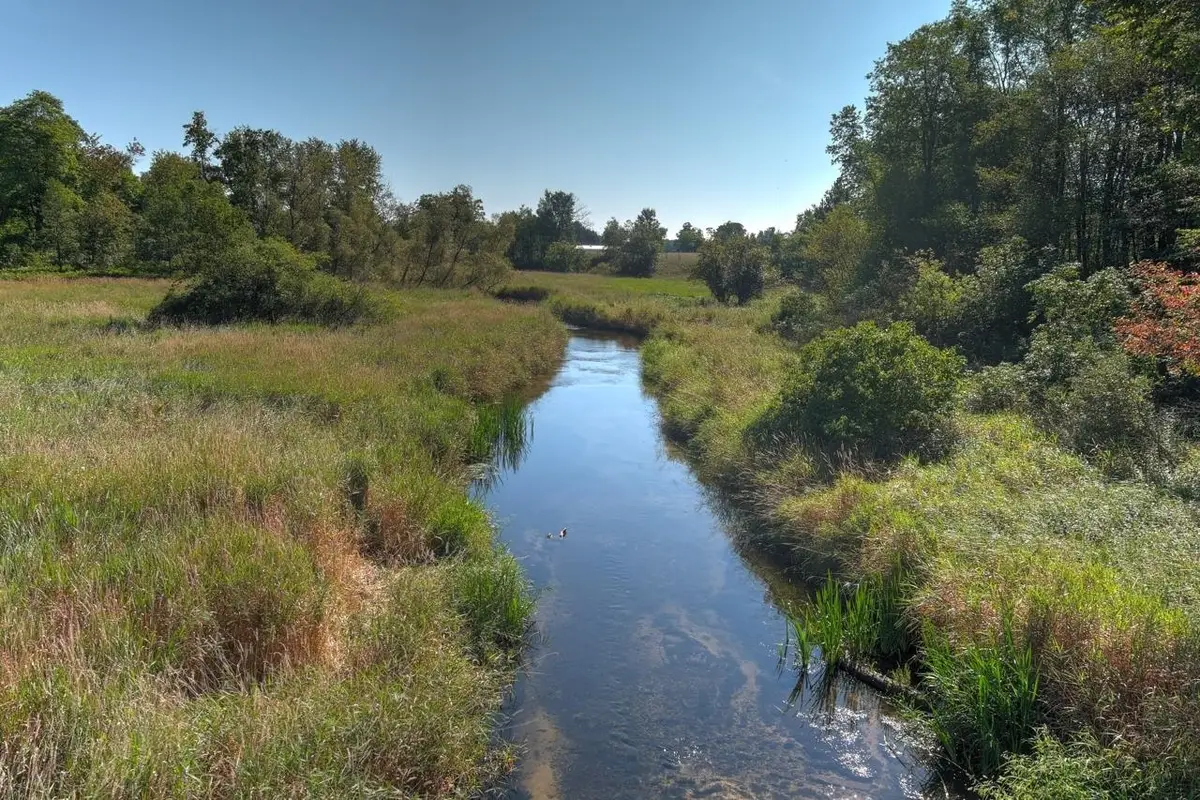 E 34 RD, Cadillac, MI 49601 - #1