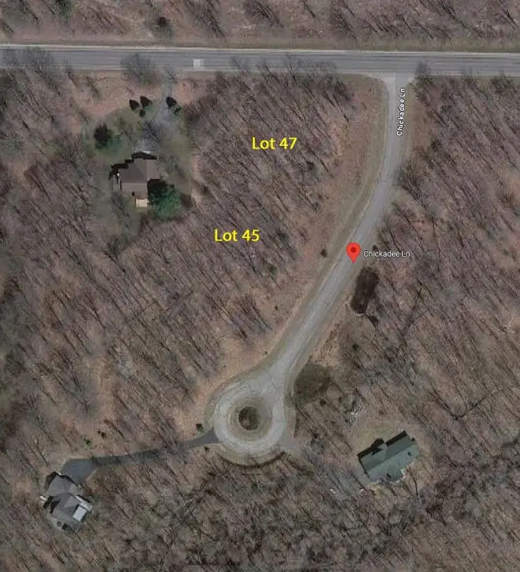 45 Chickadee, Thompsonville, MI 49683 - #2
