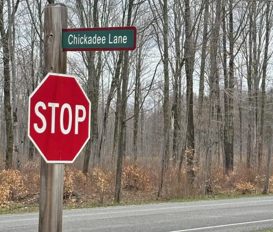 45 Chickadee, Thompsonville, MI 49683 - #3