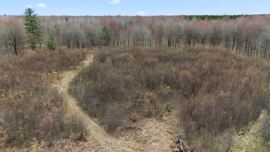Parcel B E 32 RD, Cadillac, MI 49601 - Image #3