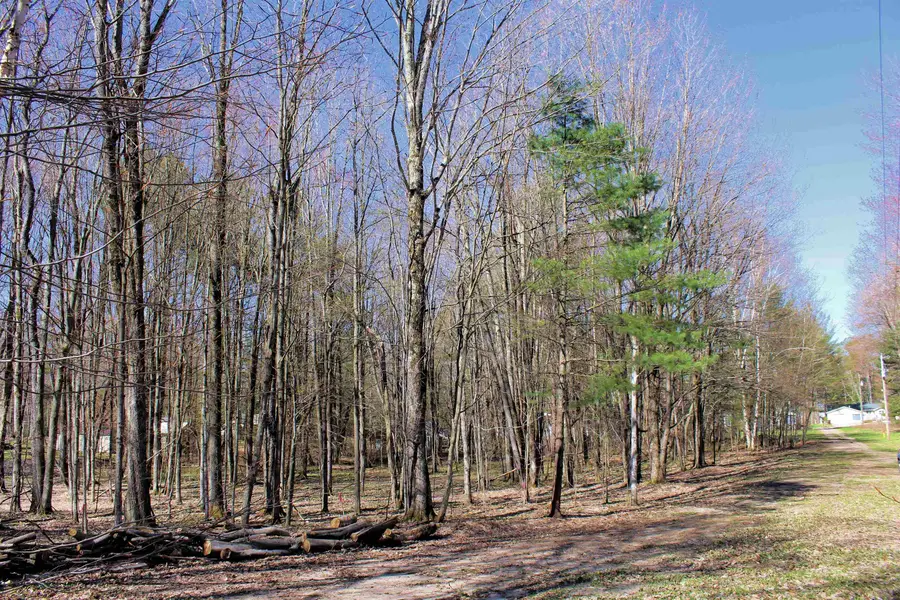 00 NE Chwastek, Kalkaska, MI 49646 - Image #2