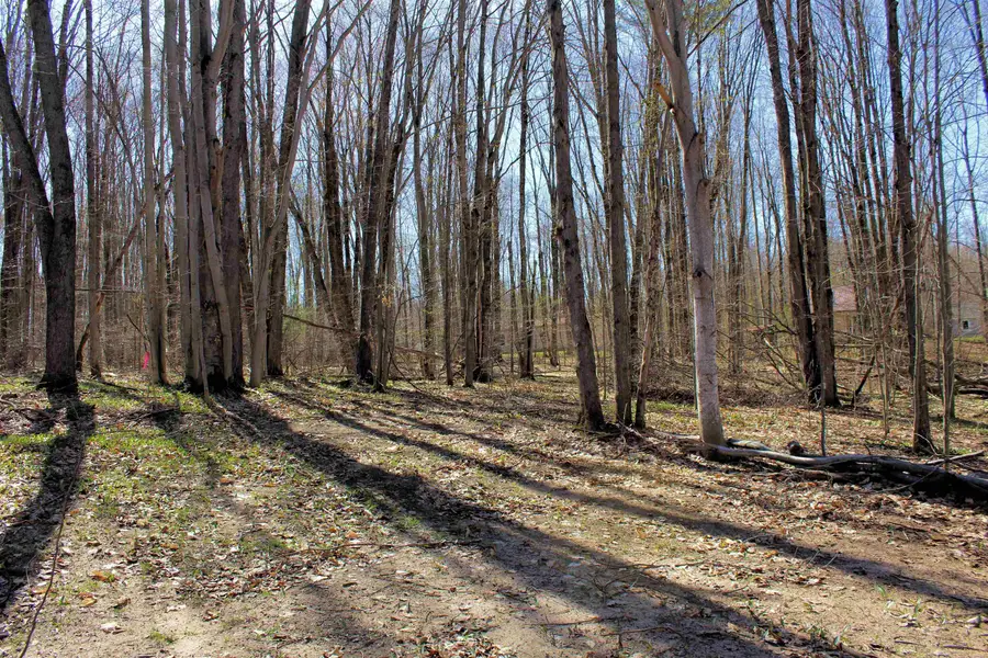 00 NE Chwastek, Kalkaska, MI 49646 - Image #3