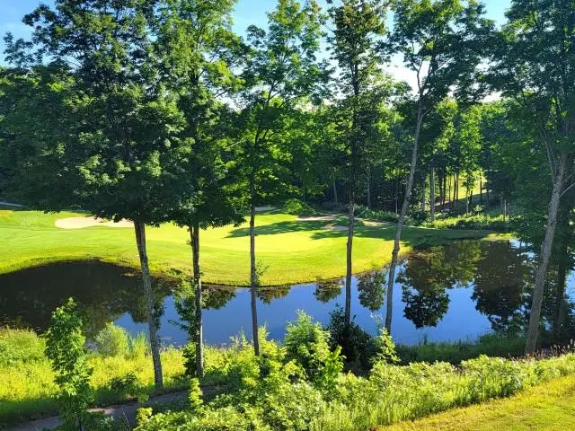 2400 Troon South, Bellaire, MI 49615 - #3