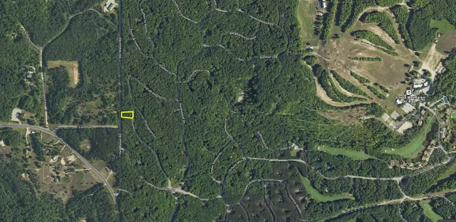 Lot 38 Courchevel LN, Bellaire, MI 49615 - Image #2