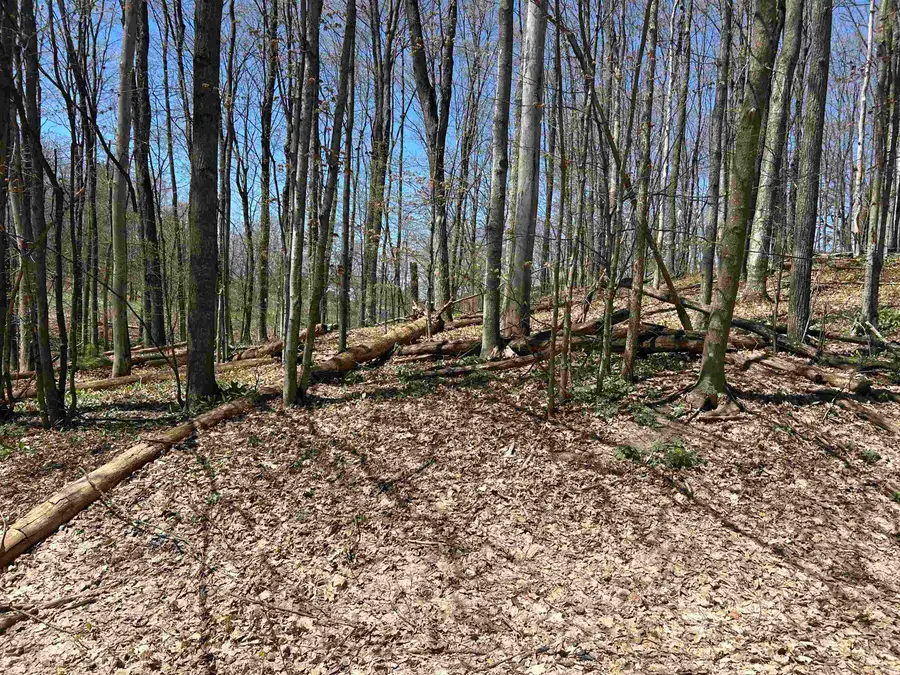 Lot 38 Courchevel LN, Bellaire, MI 49615 - Image #3