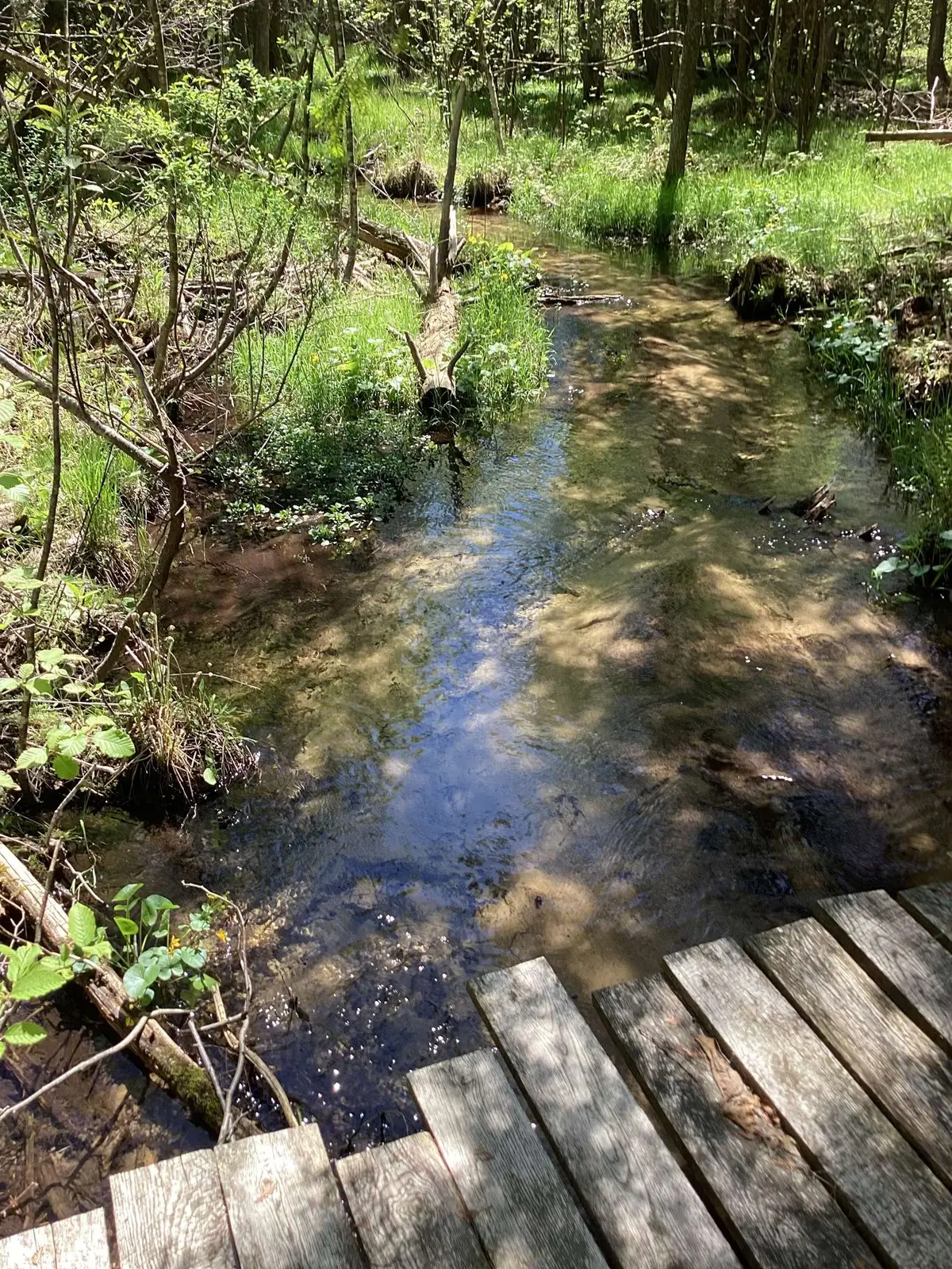 00 V/L Honor HWY, Interlochen, MI 49643 - Image #1